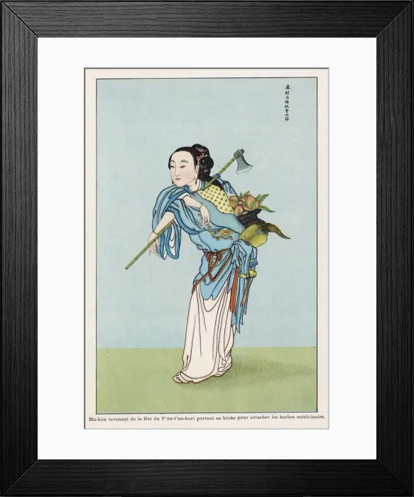 Framed Print : PLANTS / HERBS / GENERAL Framed Print : PLANTS / HERBS / GENERAL