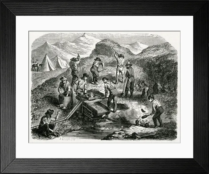 Framed Print : GOLD IN CALIFORNIA Framed Print : GOLD IN CALIFORNIA