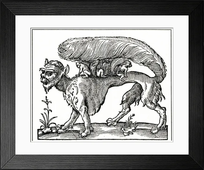 Framed Print : FOLKLORE / SUCCARATH 15C Framed Print : FOLKLORE / SUCCARATH 15C