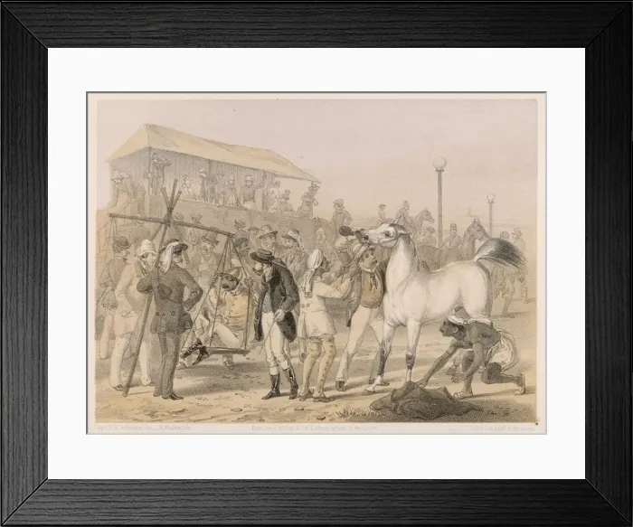 Framed Print : British horse race meeting in India Framed Print : British horse race meeting in India