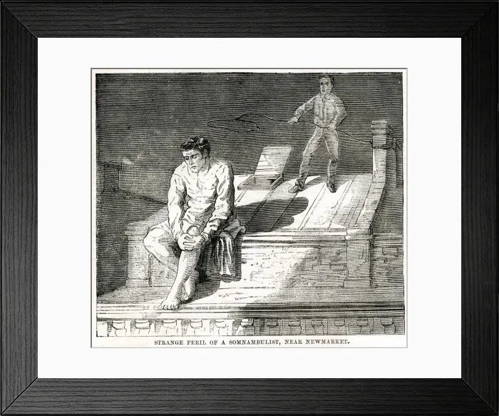 Framed Print : SLEEPWALKER ON ROOF 1870 Framed Print : SLEEPWALKER ON ROOF 1870