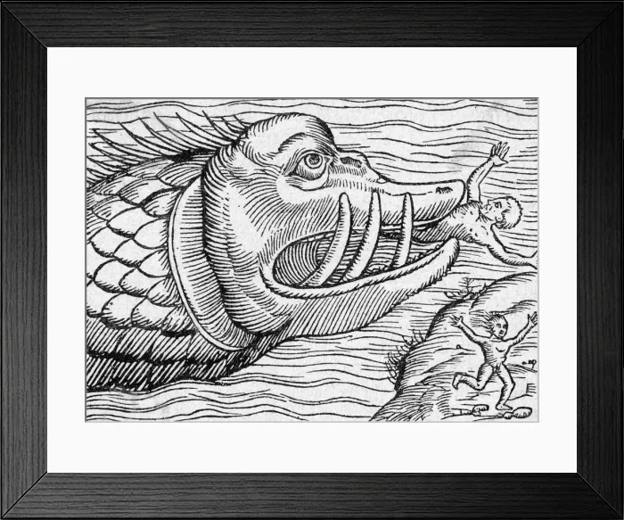 Framed Print : HUNGRY SEA MONSTER Framed Print : HUNGRY SEA MONSTER