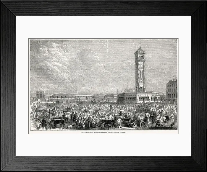 Framed Print : Metropolitan Cattle Market, Copenhagen Fields, London 1868 Framed Print : Metropolitan Cattle Market, Copenhagen Fields, London 1868
