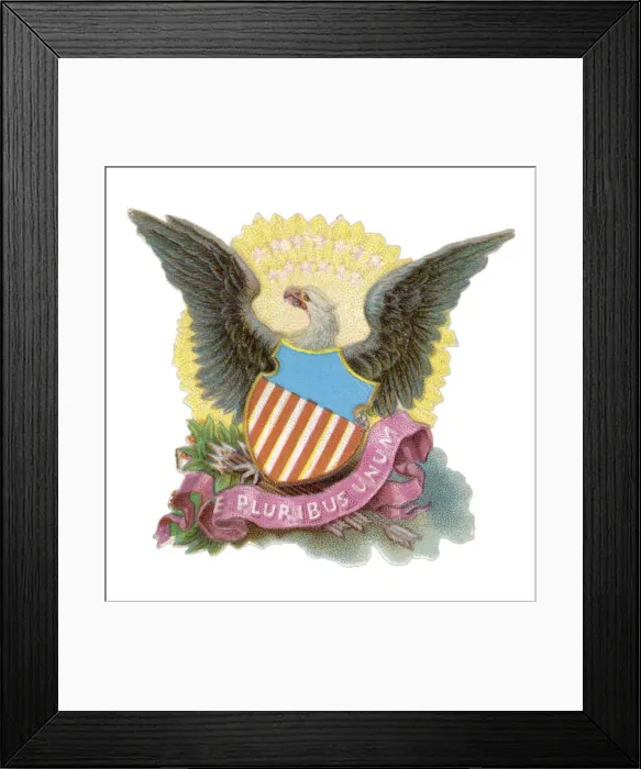 Framed Print : THE AMERICAN EAGLE Framed Print : THE AMERICAN EAGLE