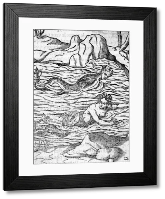 Framed Print : MERMAIDS IN WATER