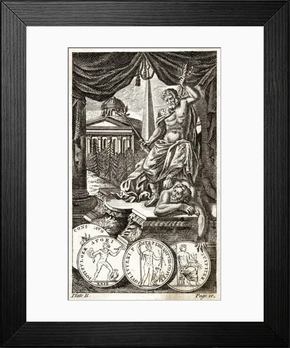 Framed Print : ZEUS [TOOKE]