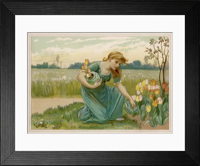 Framed Print : GIRL PICKS TULIPS Framed Print : GIRL PICKS TULIPS