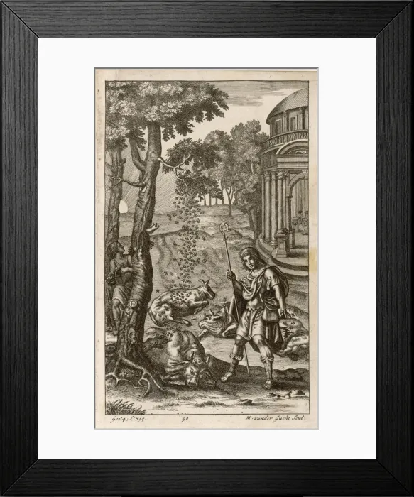 Framed Print : BIRTH OF APICULTURE Framed Print : BIRTH OF APICULTURE