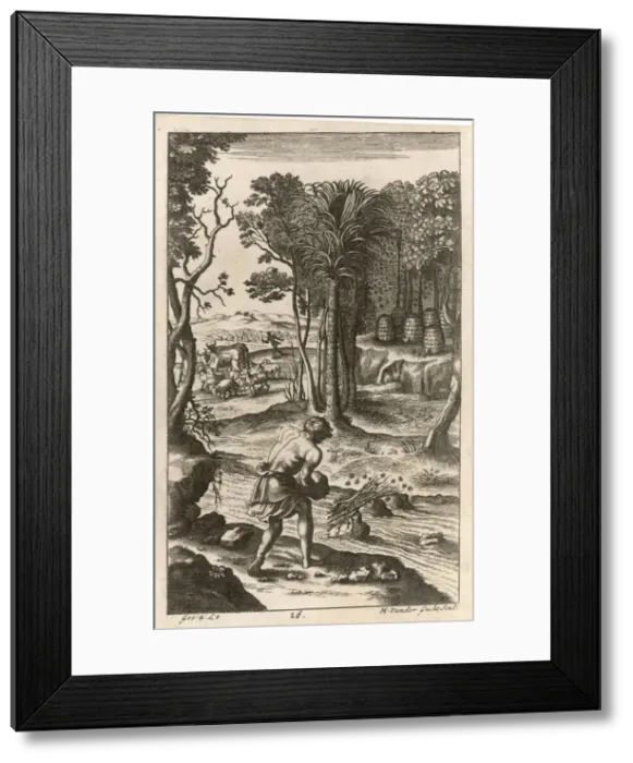 Framed Print : ROMAN BEEKEEPING Framed Print : ROMAN BEEKEEPING