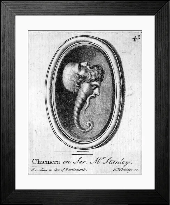 Framed Print : CLASSICAL MYTH / CHIMERA Framed Print : CLASSICAL MYTH / CHIMERA