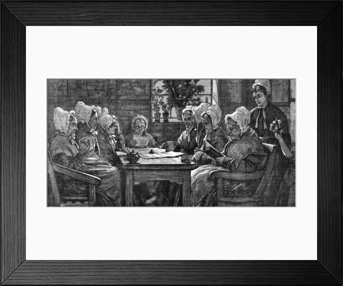 Framed Print : WELL CARED FOR Framed Print : WELL CARED FOR