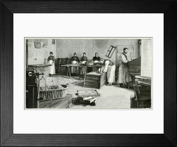 Framed Print : INDUSTRY / PERFUME / FRANCE Framed Print : INDUSTRY / PERFUME / FRANCE