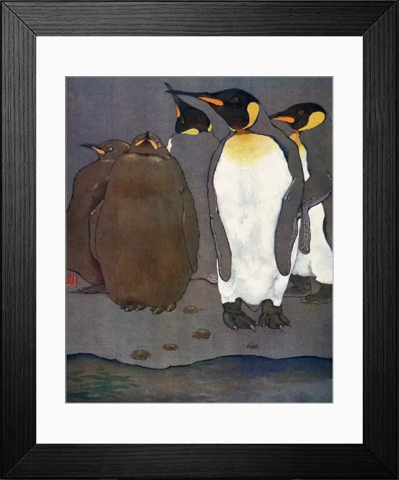 Framed Print : KING PENGUINS Framed Print : KING PENGUINS