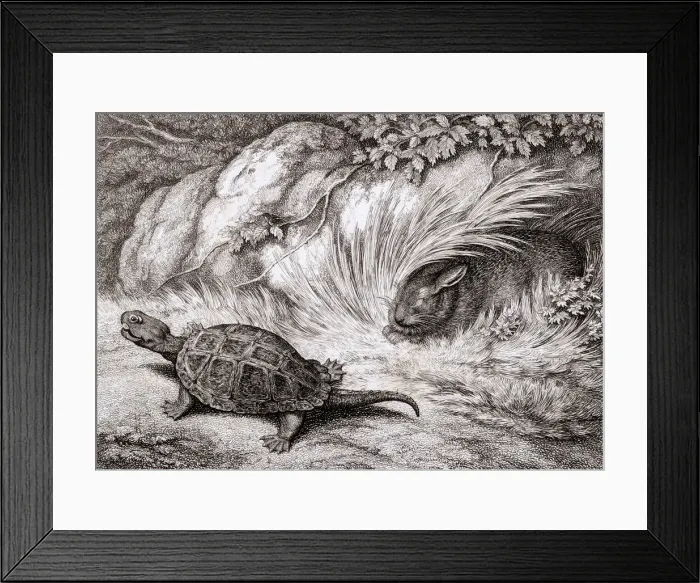 Framed Print : HARE AND TORTOISE Framed Print : HARE AND TORTOISE