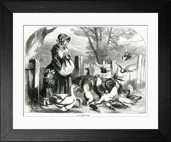 Framed Print : Poultry Yard 1856 Framed Print : Poultry Yard 1856