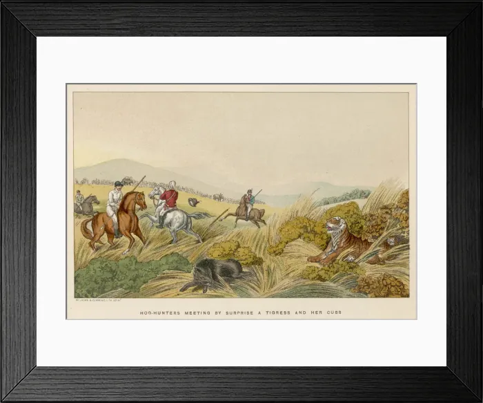 Framed Print : HUNTING HOG / TIGRESS CUBS Framed Print : HUNTING HOG / TIGRESS CUBS