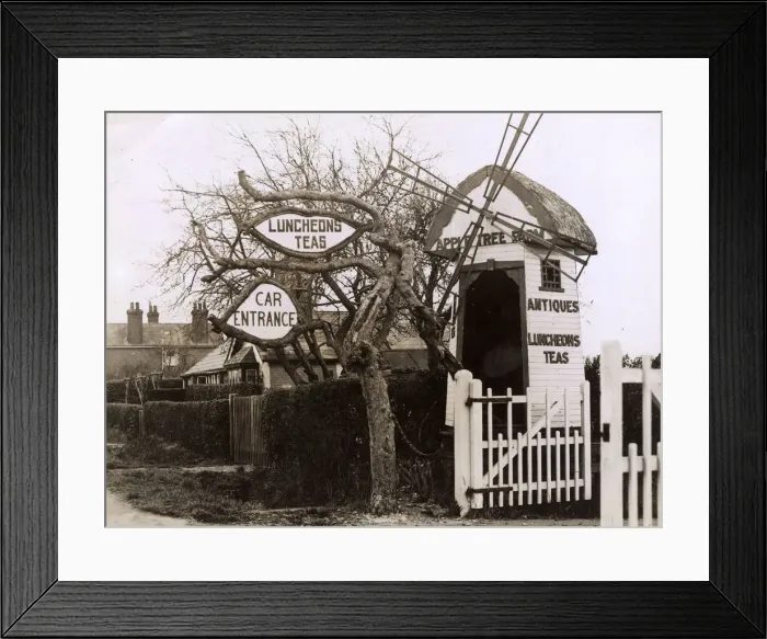 Framed Print : ANTIQUES & TEAS 1930S ANTIQUES & TEAS 1930S Framed Print : ANTIQUES & TEAS 1930S ANTIQUES & TEAS 1930S