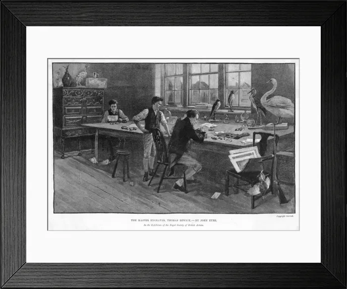 Framed Print : BEWICK AT WORK Framed Print : BEWICK AT WORK