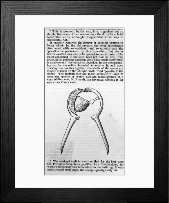 Framed Print : OYSTER OPENER / ART JL1849 Framed Print : OYSTER OPENER / ART JL1849