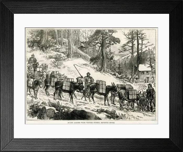 Framed Print : GOLD MINING / COLORADO Framed Print : GOLD MINING / COLORADO