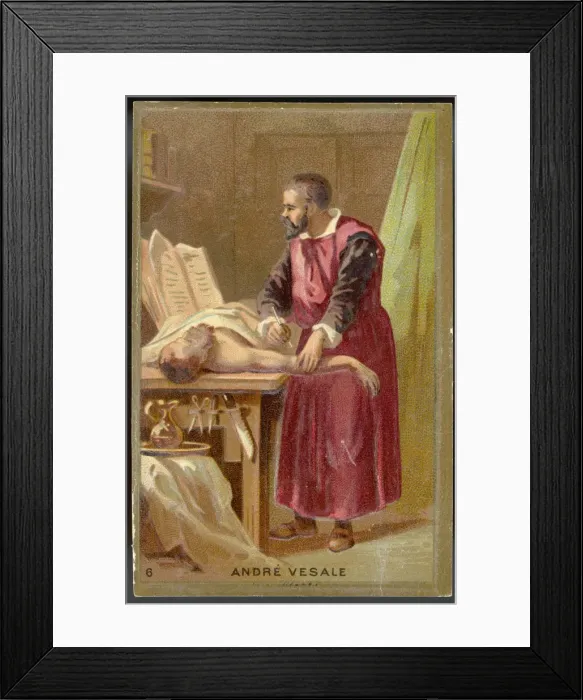 Framed Print : VESALE DISSECTS CORPSE Framed Print : VESALE DISSECTS CORPSE