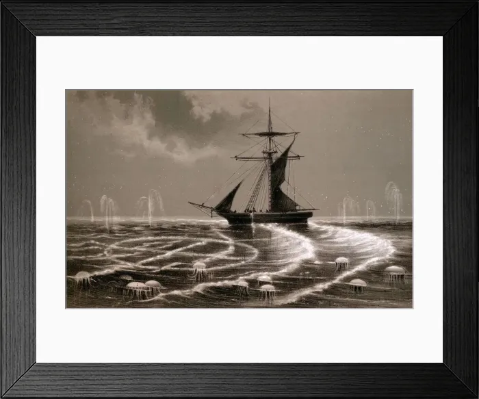 Framed Print : LUMINOUS WHEELS Framed Print : LUMINOUS WHEELS