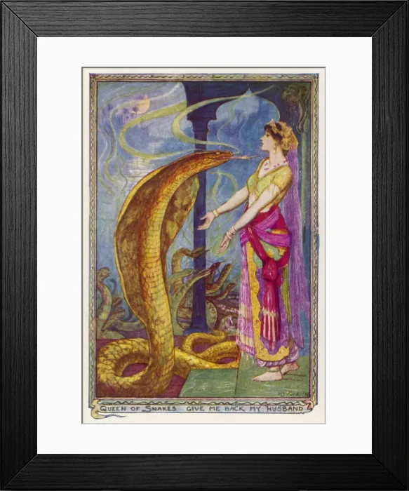 Framed Print : THE SNAKE PRINCE / QUEEN Framed Print : THE SNAKE PRINCE / QUEEN