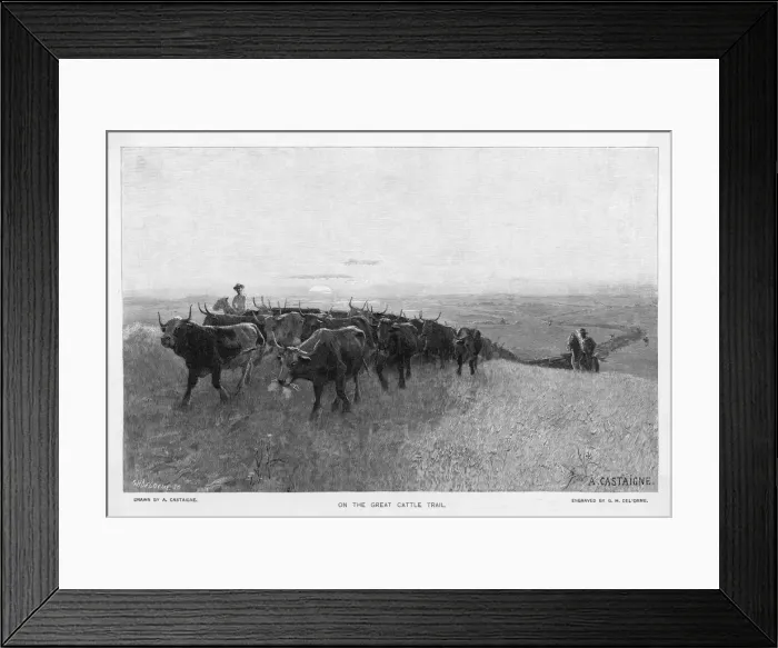 Framed Print : ABILENE TRAIL OF CATTLE Framed Print : ABILENE TRAIL OF CATTLE