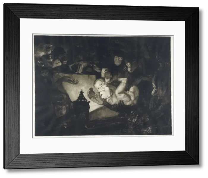 Framed Print : Evolution - Baby - Monkeys Framed Print : Evolution - Baby - Monkeys