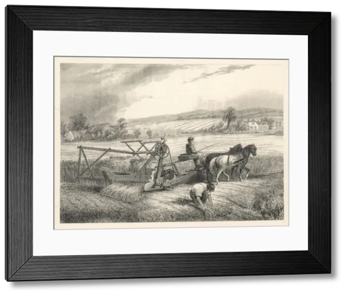 Framed Print : MCCORMICKS REAPER Framed Print : MCCORMICKS REAPER