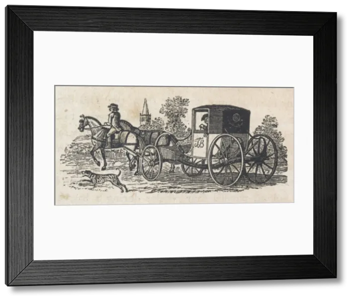 Framed Print : DALMATIAN PROTECTS COACH Framed Print : DALMATIAN PROTECTS COACH