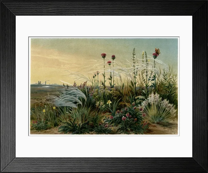 Framed Print : RUSSIA / STEPPE SCENE Framed Print : RUSSIA / STEPPE SCENE