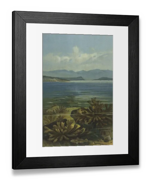 Framed Print : UNDERWATER SCENE Framed Print : UNDERWATER SCENE