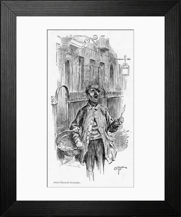 Framed Print : LAVENDER SELLER / BROCK Framed Print : LAVENDER SELLER / BROCK