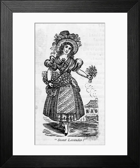Framed Print : LAVENDER SELLER / 1810 Framed Print : LAVENDER SELLER / 1810