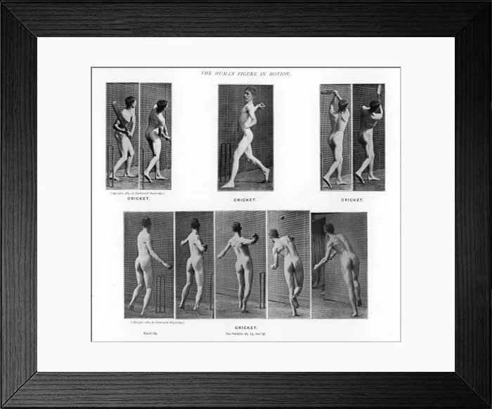 Framed Print : MUYBRIDGE / MAN / CRICKET Framed Print : MUYBRIDGE / MAN / CRICKET