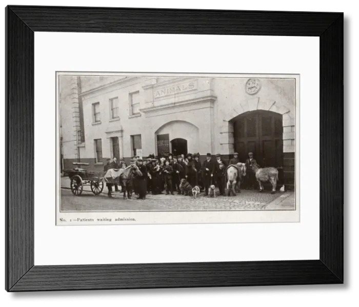 Framed Print : VETS / ANIMAL DISPENSARY Framed Print : VETS / ANIMAL DISPENSARY