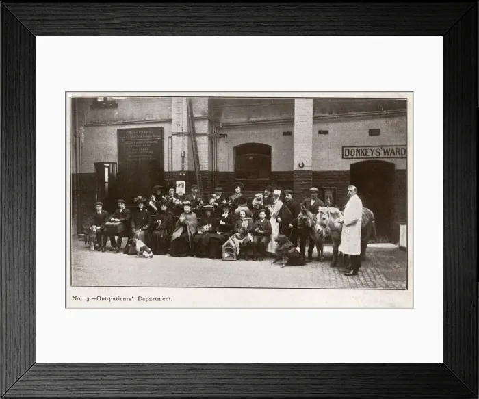 Framed Print : VETS / DOG PATIENTS Framed Print : VETS / DOG PATIENTS