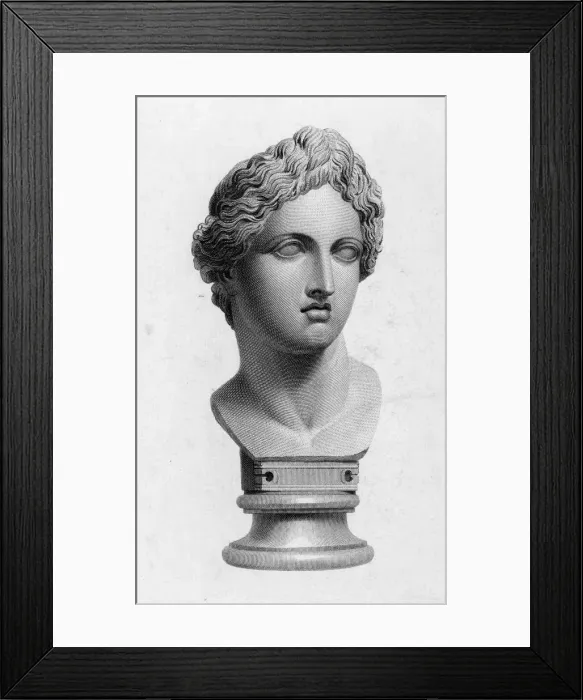 Framed Print : APOLLO (BUST) Framed Print : APOLLO (BUST)