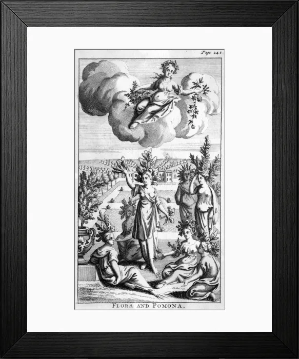 Framed Print : FLORA & POMONA FLORA & POMONA Framed Print : FLORA & POMONA FLORA & POMONA