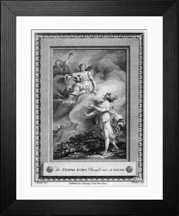 Framed Print : ECHO TRANSFORMED Framed Print : ECHO TRANSFORMED