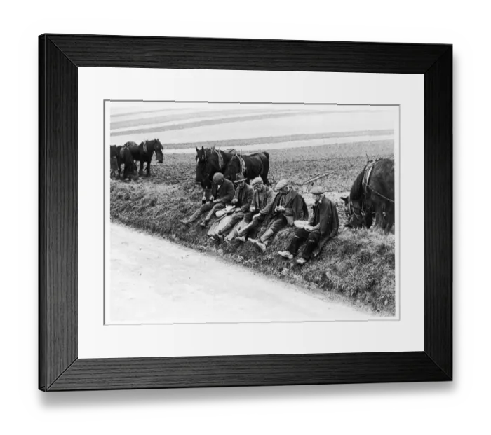 Framed Print : PLOUGHMANS LUNCH Framed Print : PLOUGHMANS LUNCH