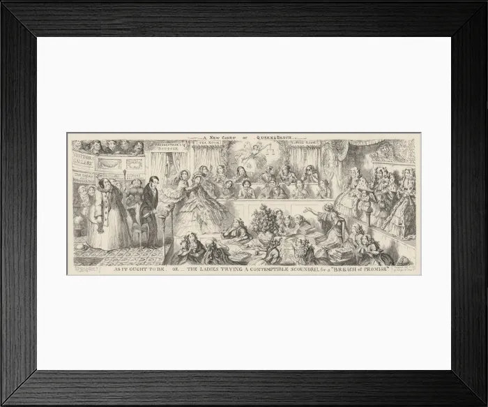 Framed Print : WOMENS RIGHTS / SATIRE Framed Print : WOMENS RIGHTS / SATIRE