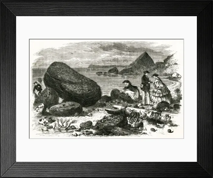 Framed Print : AMATEUR SCIENTISTS Framed Print : AMATEUR SCIENTISTS