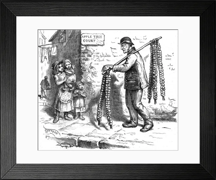 Framed Print : ONIONS BY THE ROPE Framed Print : ONIONS BY THE ROPE