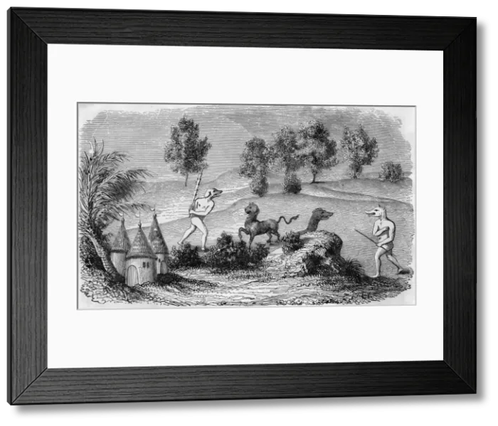 Framed Print : FOLKLORE / CYNOCEPHALIES Framed Print : FOLKLORE / CYNOCEPHALIES