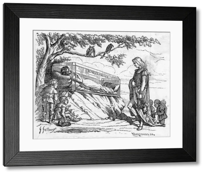 Framed Print : SNOW WHITE / GLASS GASKET Framed Print : SNOW WHITE / GLASS GASKET