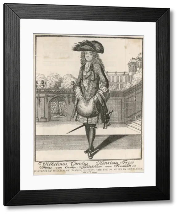 Framed Print : WILLIAM III & MUFF WILLIAM III & MUFF Framed Print : WILLIAM III & MUFF WILLIAM III & MUFF