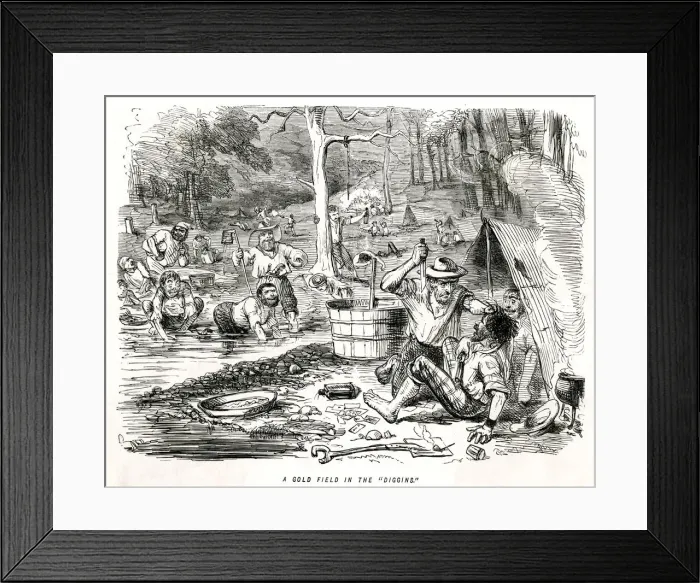 Framed Print : GOLD / AUSTRALIA / PUNCH Framed Print : GOLD / AUSTRALIA / PUNCH
