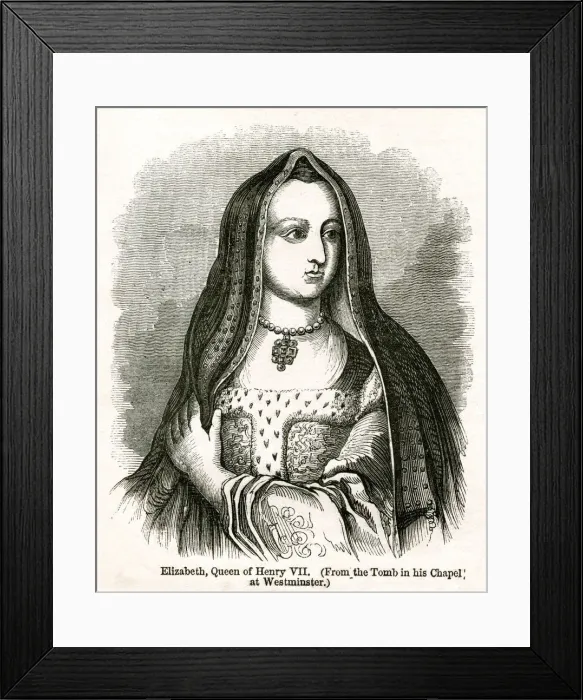 Framed Print : Elizabeth of York wife of Henry VII Framed Print : Elizabeth of York wife of Henry VII